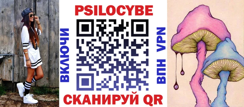 Галлюциногенные грибы Psilocybe  Ейск 